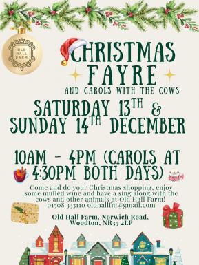 Christmas Fayre2