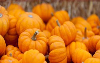 Pumpkin heap