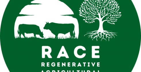 RACE Logo 3